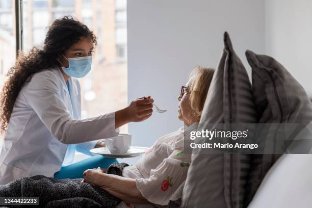 beautiful curly brunette nurse sitting on the bed of her adult patient assisting her in her feeding time - volunteer home care stock pictures, royalty-free photos & images