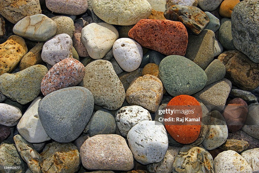 Beach Stones