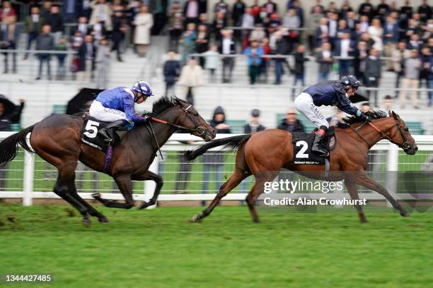 Adam Kirby riding Tis Marvellous win The Oakman Group Rous Stakes at Ascot Racecourse on October 02, 2021 in Ascot, England.