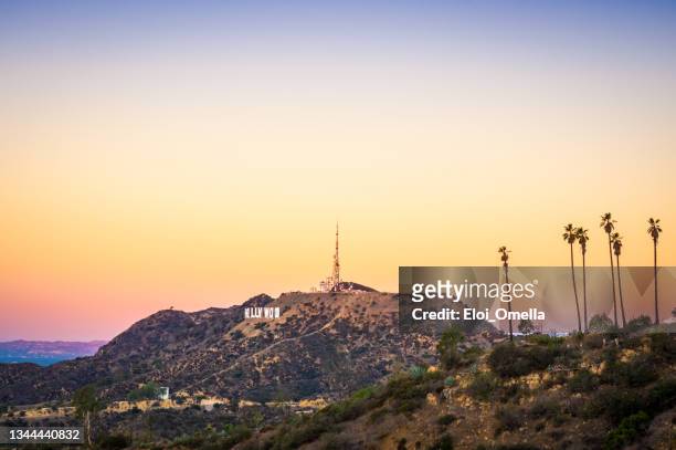 hollywood sign in the morning from griffith park, los angeles, california. usa - hollywood california imagens e fotografias de stock