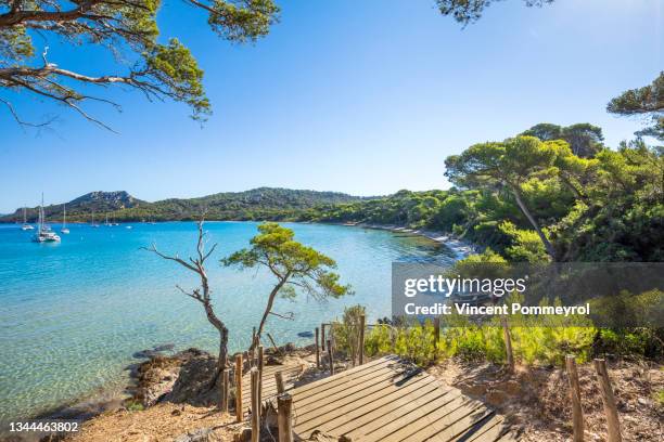 porquerolles island - porquerolles stock pictures, royalty-free photos & images