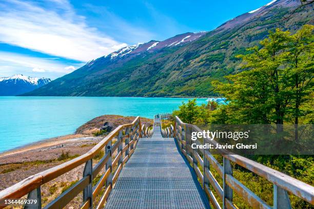 glaciar perito moreno, lago argentino, parque nacional los glaciares. santa cruz, patagonia argentina. vista panorámica. - parque natural stock-fotos und bilder