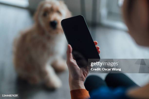 Dog Using Smartphone Dog Phone Screen Photos and Premium High Res Pictures - Getty Images