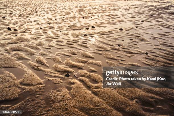 2 240 Wet Sand Texture Stock Photos High Res Pictures And Images 2-240-wet-sand-texture-stock-photos-high-res-pictures-and-images
