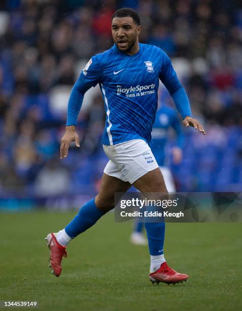 Troy Deeney of Birmingham City during the Sky Bet Championship match between Birmingham City and Nottingham Forest at St Andrew's Trillion Trophy...