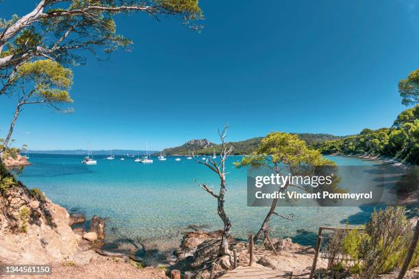 porquerolles island - porquerolles island stock pictures, royalty-free photos & images