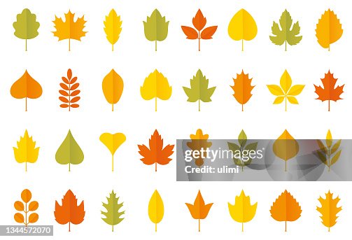 Conjunto de iconos de hojas de otoño Conjunto de iconos de hojas de otoño