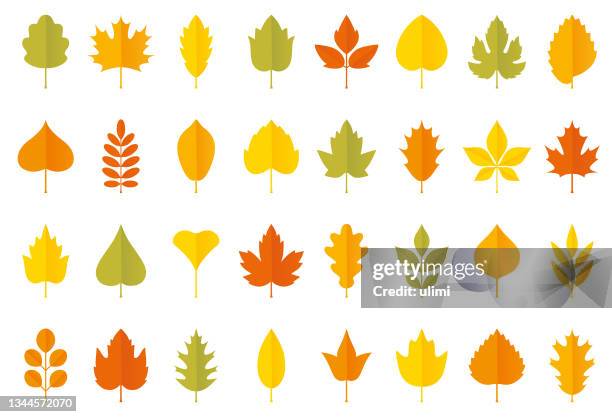 ilustraciones, imágenes clip art, dibujos animados e iconos de stock de conjunto de iconos de hojas de otoño - hoja
