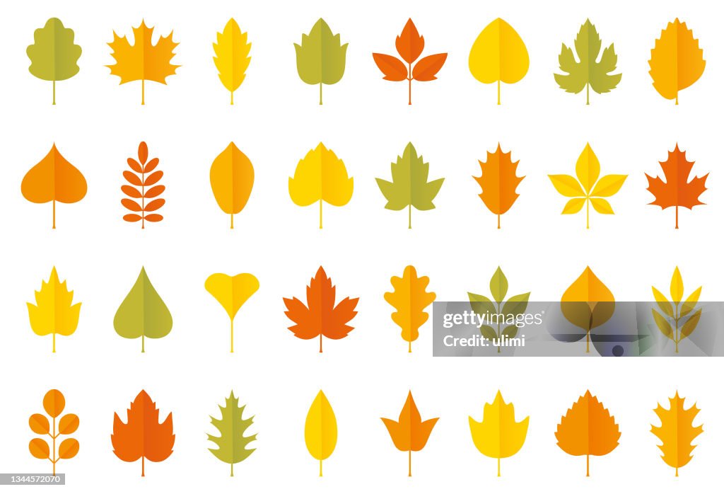 Autumn leaves icons set