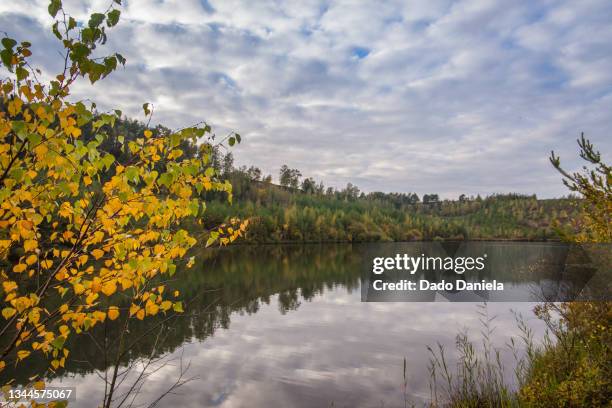 hoge kempen national park - flanders fields stockfoto's en -beelden