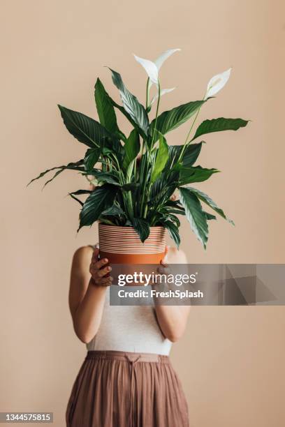 anonymous caucasian woman holding a potted plant, covering her face (studio shot) - face covered stock pictures, royalty-free photos & images