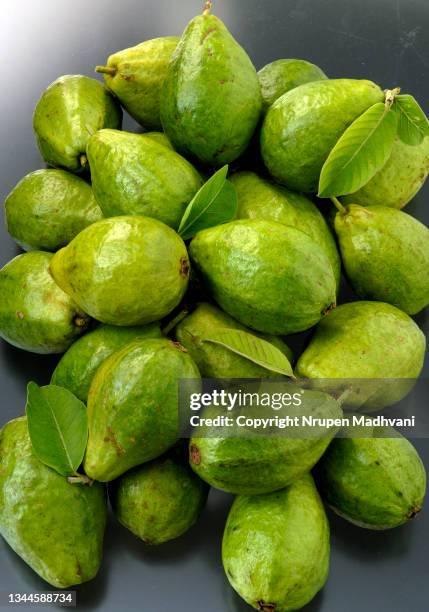 ripe green guavas - guava stock pictures, royalty-free photos & images