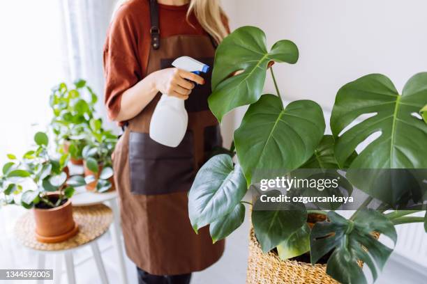 schöne hausfrau mit blume im topf und gartenset - monstera stock-fotos und bilder