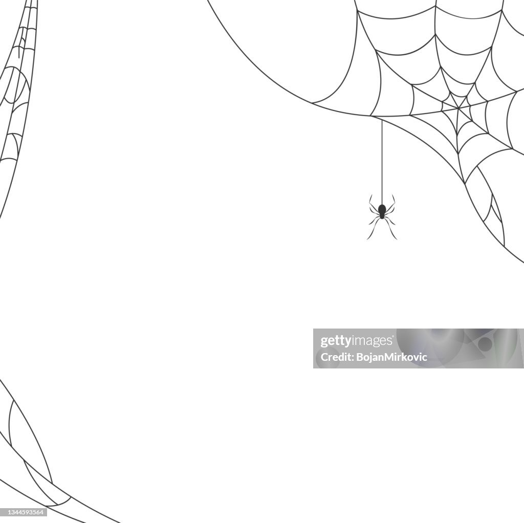 Halloween spider web background. Vector