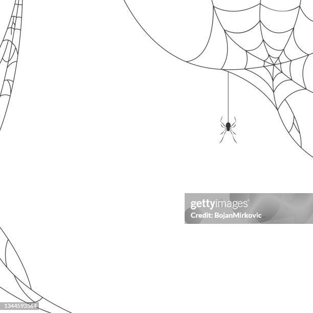 halloween spider web background. vector - spider web stock illustrations