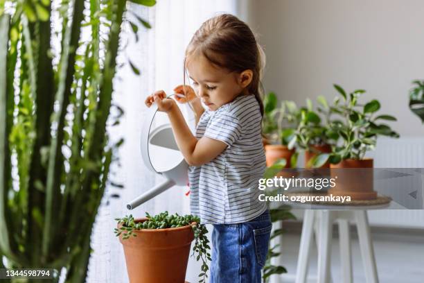 niña regando plantas de interior - regar fotografías e imágenes de stock