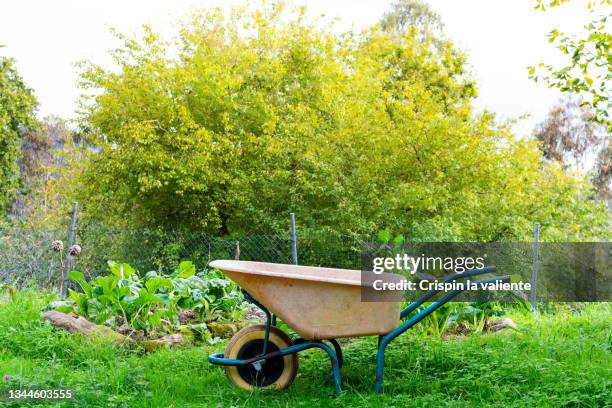 yellow wheelbarrow in front of a small organic garden through an outdoor terrace - carrinho de mão equipamento de jardinagem - fotografias e filmes do acervo