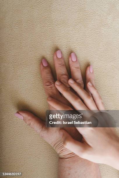from above view of a grandmother and granddaughter hands together on a neutral background showing aging and genetics - human arm stock pictures, royalty-free photos & images