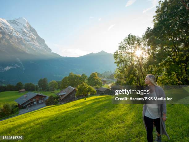 woman relaxes in lush meadow, admiring swiss alps - howse peak stock pictures, royalty-free photos & images