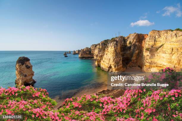 the sun rising over the algarve coast - albufeira beach stockfoto's en -beelden