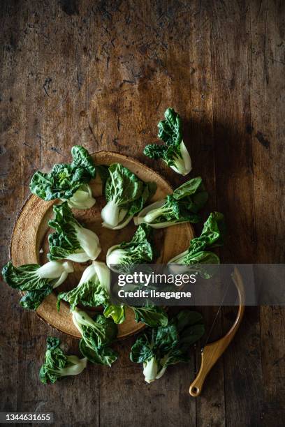 fresh bokchoy - close up of bok choy bildbanksfoton och bilder