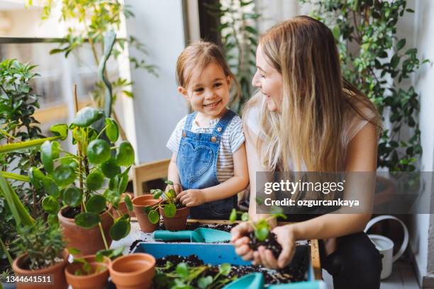 cute girl planting flowers with mother at house balcony - cactus water stock pictures, royalty-free photos & images