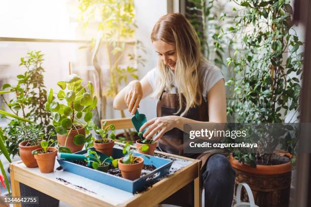 schöne hausfrau mit blume im topf und gartenset - nettle stock-fotos und bilder