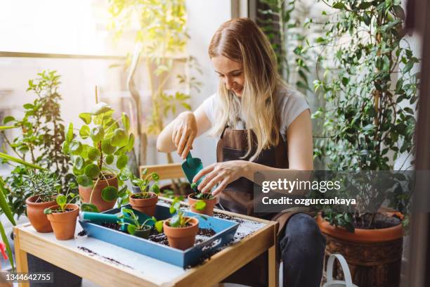 schöne hausfrau mit blume im topf und gartenset - zimmerpflanze stock-fotos und bilder