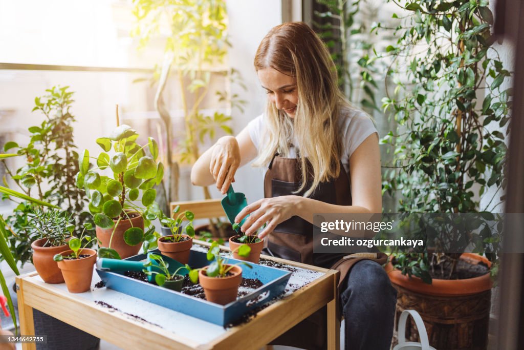 Lovely housewife with flower in pot and gardening set