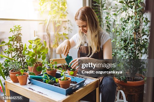 Lovely housewife with flower in pot and gardening set Lovely housewife with flower in pot and gardening set