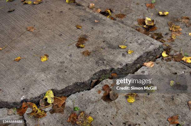 Footpath Defects Pavement Cracks Photos and Premium High Res Pictures - Getty Images