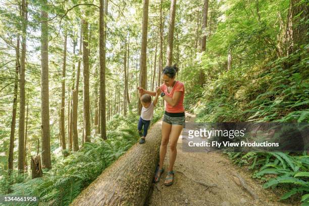 joven madre caminando con su hijo pequeño en el bosque - noroeste pacífico de los estados unidos fotografías e imágenes de stock