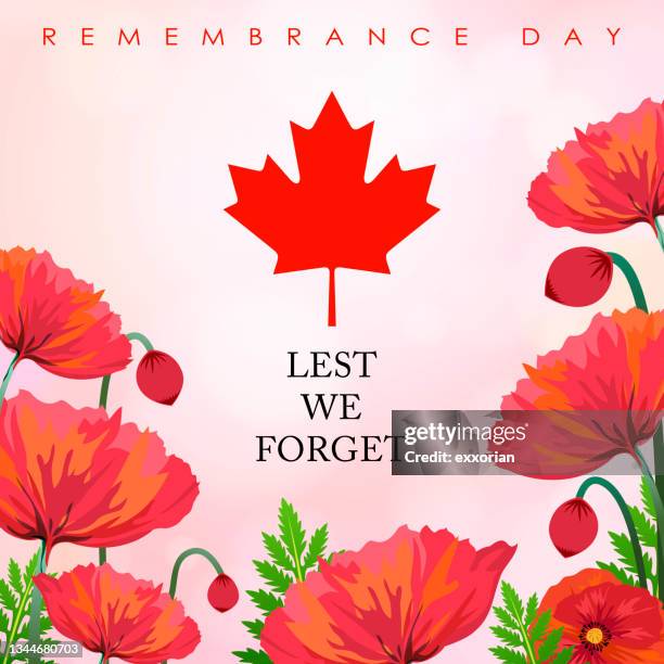 canadian remembrance day - anzac day stock illustrations