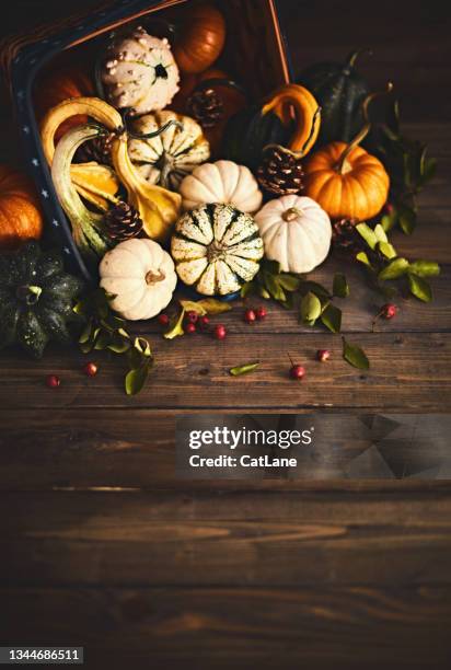 thanksgiving fall background with collection of pumpkins on rustic wood table - thanksgiving cornucopia stock pictures, royalty-free photos & images