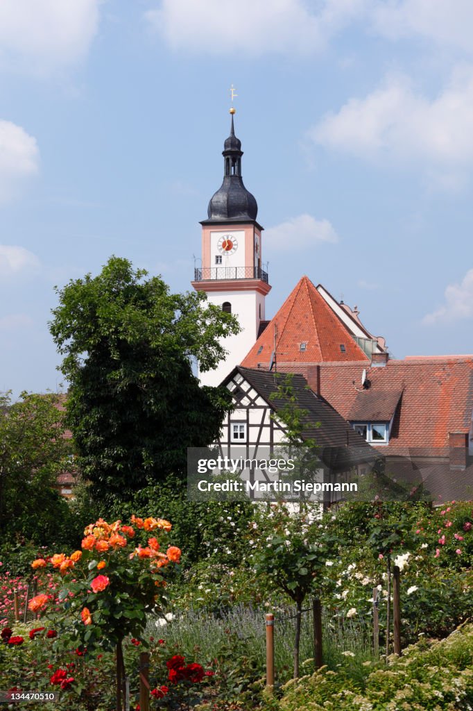 Church and rose garden, Hilpoltstein, Middle Franconia, Franconia, Bavaria, Germany, Europe