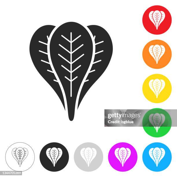 spinach. flat icons on buttons in different colors - spinach stock illustrations