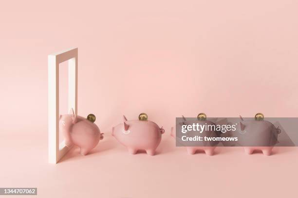 financial freedom concepts still life with piggy bank. - financial freedom stock pictures, royalty-free photos & images