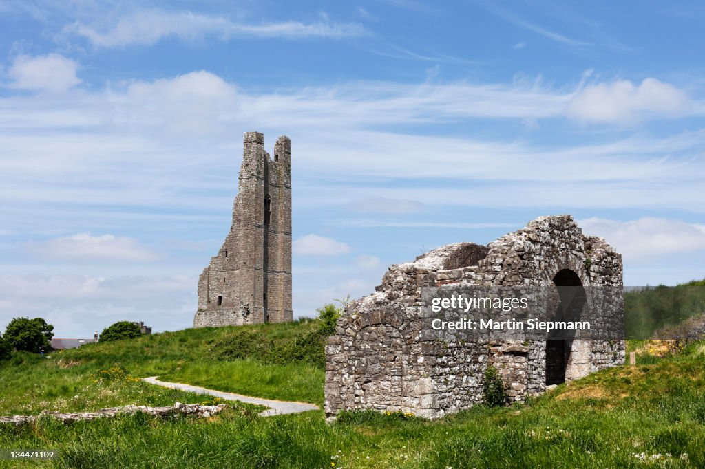Yellow Steeple, remains of the town wall, Trim, County Meath, Leinster, Ireland, Europe
