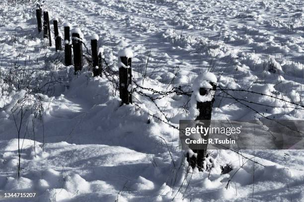 barbed wire fence with snow - black and white photo - gulag stock pictures, royalty-free photos & images