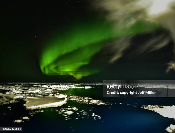 aurora australis over pack ice in the southern ocean, antarctica. - aurora australis stock pictures, royalty-free photos & images