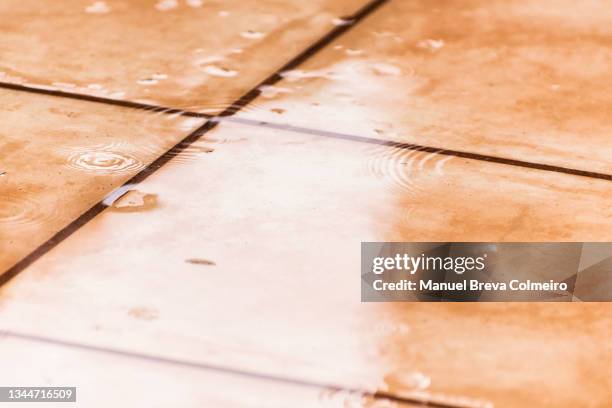 Puddle Rloor Water Puddle Floor Photos and Premium High Res Pictures - Getty Images
