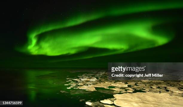 aurora australis reflected in the southern ocean, antarctica. - aurora australis stock pictures, royalty-free photos & images