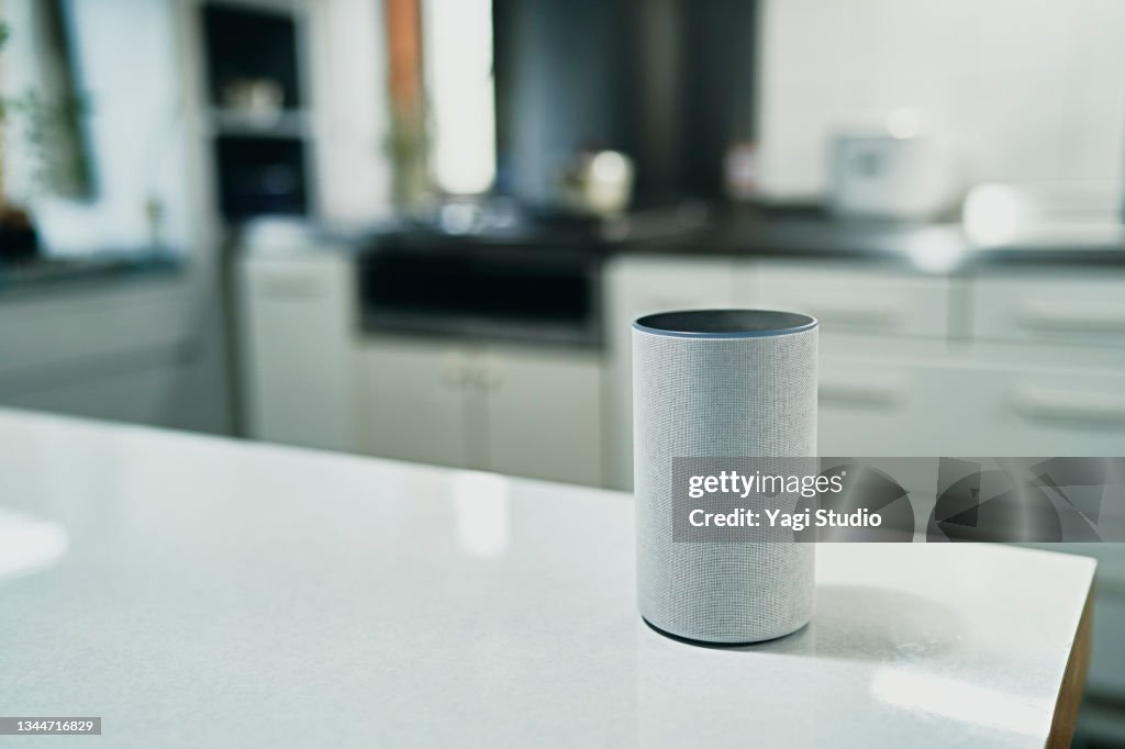Using a smart speaker in Kitchen Counter