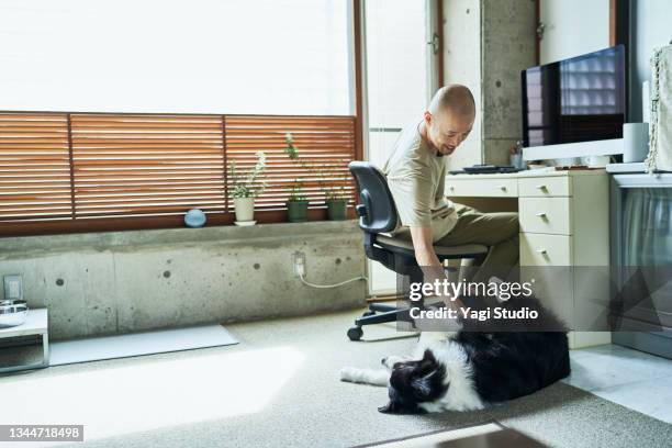 asian man working from home with love pet. - working from home imagens e fotografias de stock