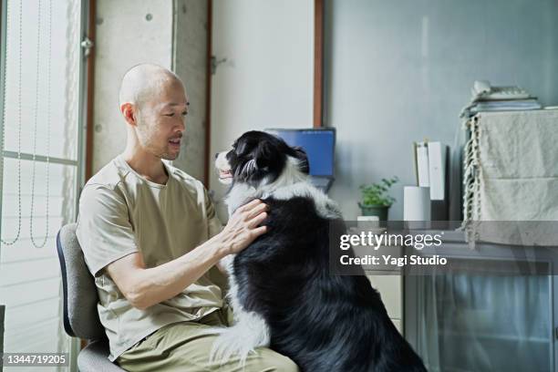 asian man working from home with love pet. - shaved dog stock pictures, royalty-free photos & images