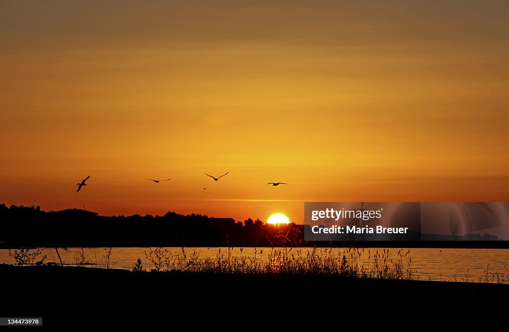 Sunset, Vir Island, Dalmatia, Croatia, Europe