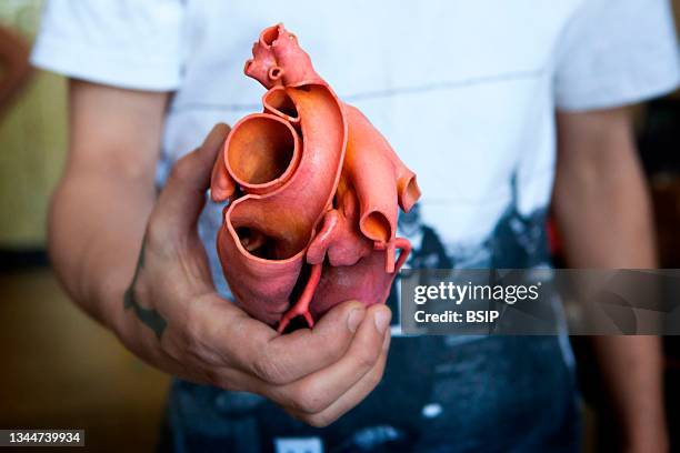 3d printed heart - internal anatomy stock pictures, royalty-free photos & images