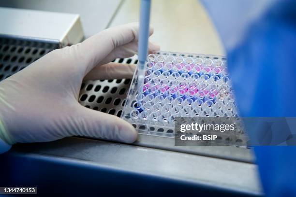 cancer research - microplate stock pictures, royalty-free photos & images