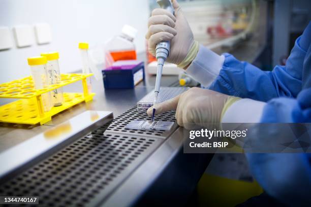 cancer research - immunology stock pictures, royalty-free photos & images