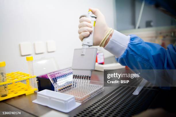 Level Ii Laboratory 57 Biosafety Level 2 Laboratory Stock Photos, High-Res Pictures, and ...